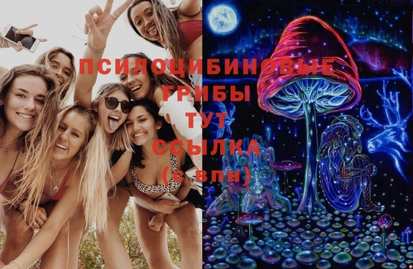 спиды Алзамай