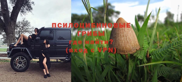 шишки Надым
