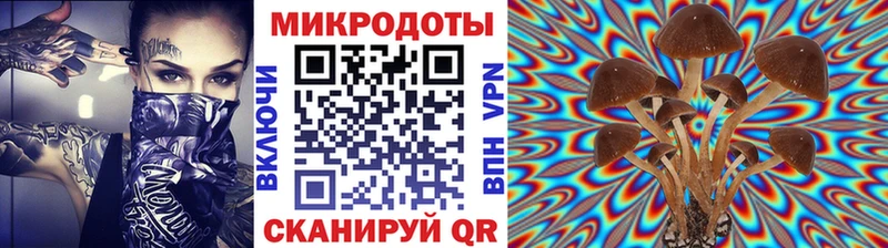 как найти закладки  kraken сайт  Псилоцибиновые грибы Cubensis  Пущино 